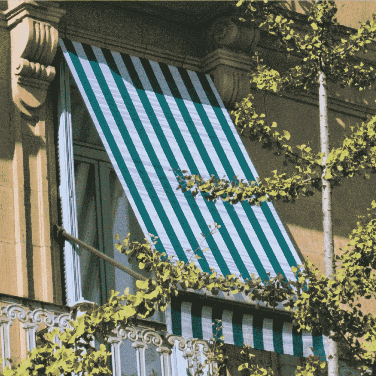 foto-Tenda-da-sole-caraibi-verde-tessuto-tinto-resistente-acqua-poliestere-150x250cm-150x300cm-150x350cm-200x300cm-200x350cm-290x300cm