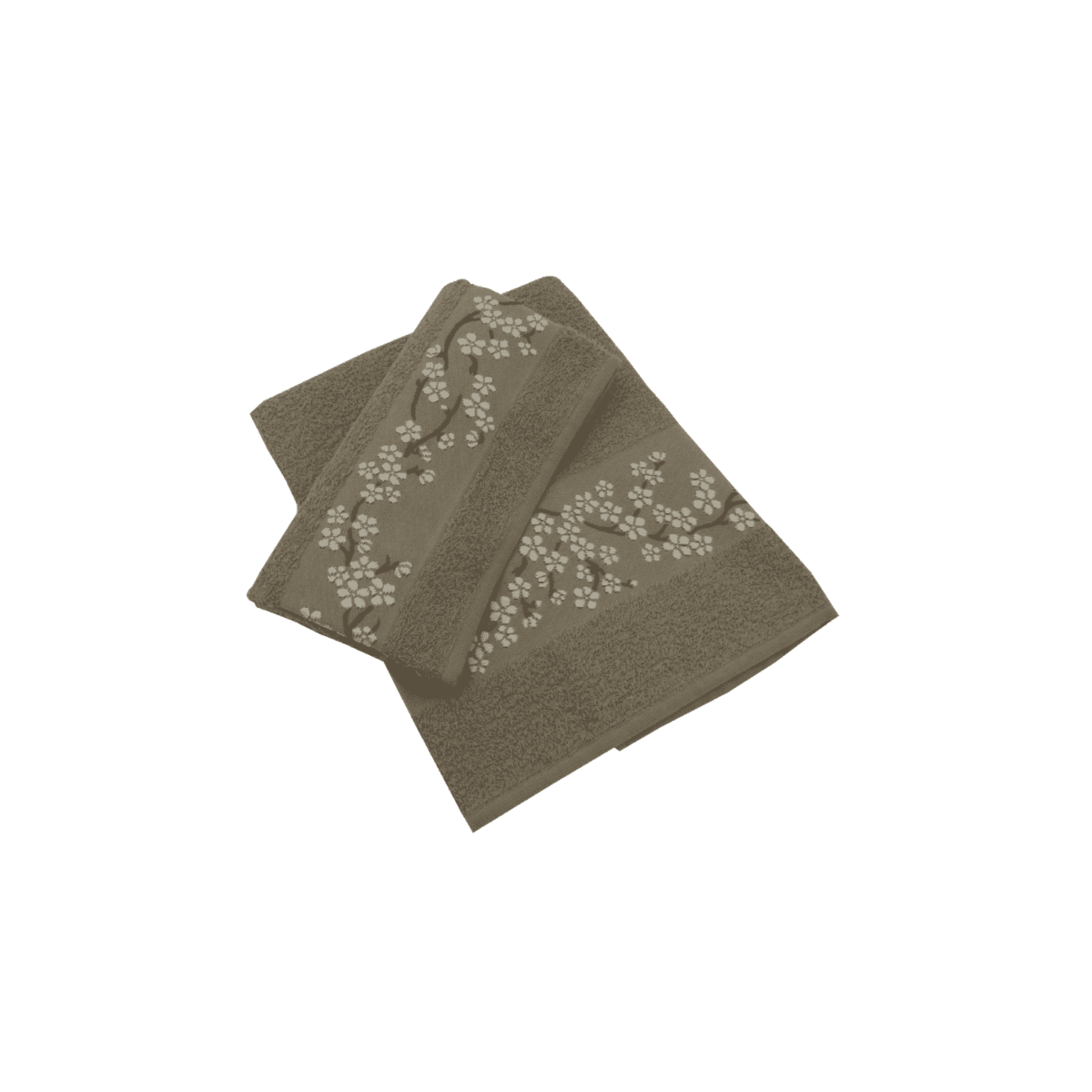 Set-1+1-rametto-marrone-spugna-fibra-naturale-cotone-asciugamano-ospite-bidet-made-in-italy-60x100cm-40x60cm