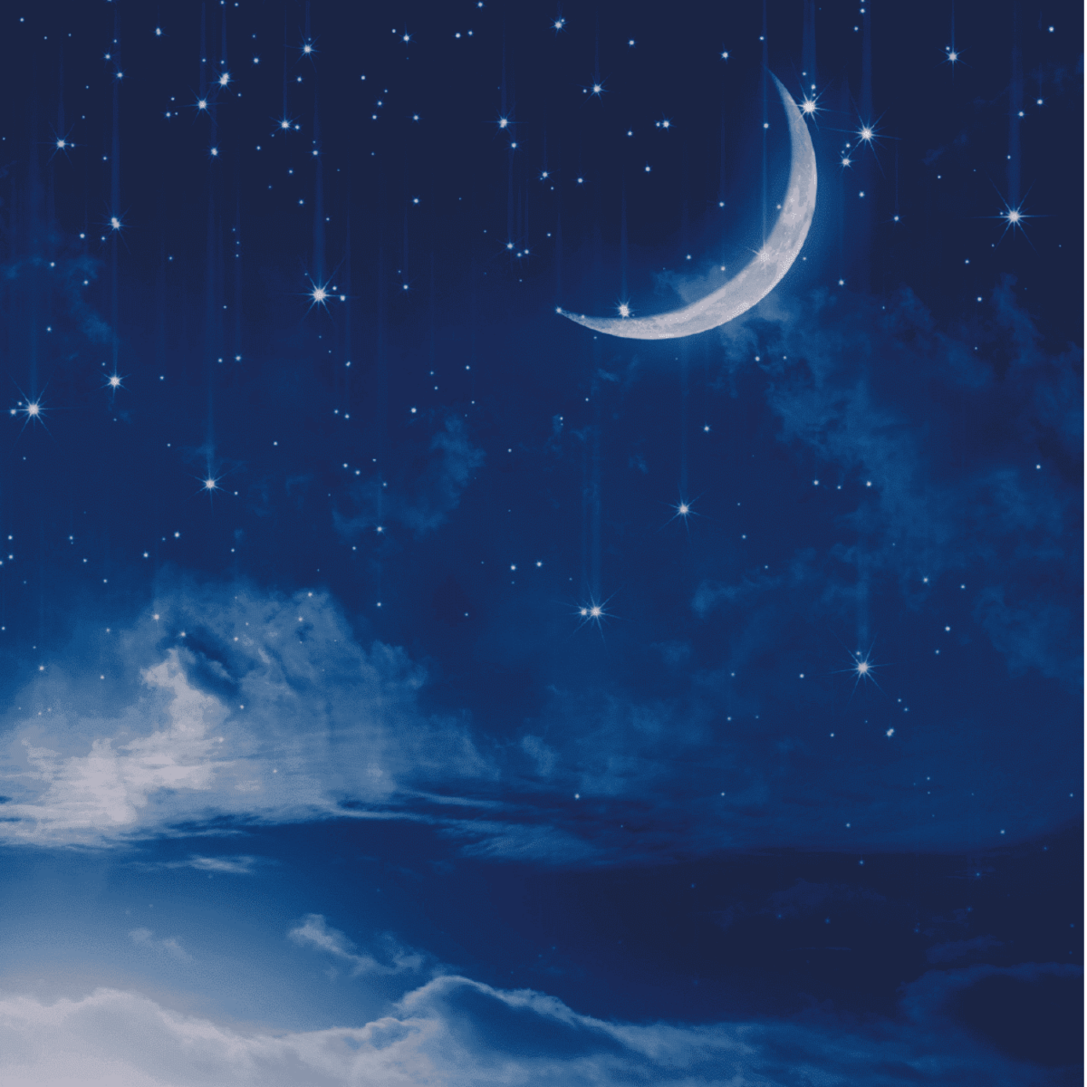 Completo Lenzuola Mezzanotte Novia Stampa Digitale Alta Definizione 100% Cotone - immagine 2