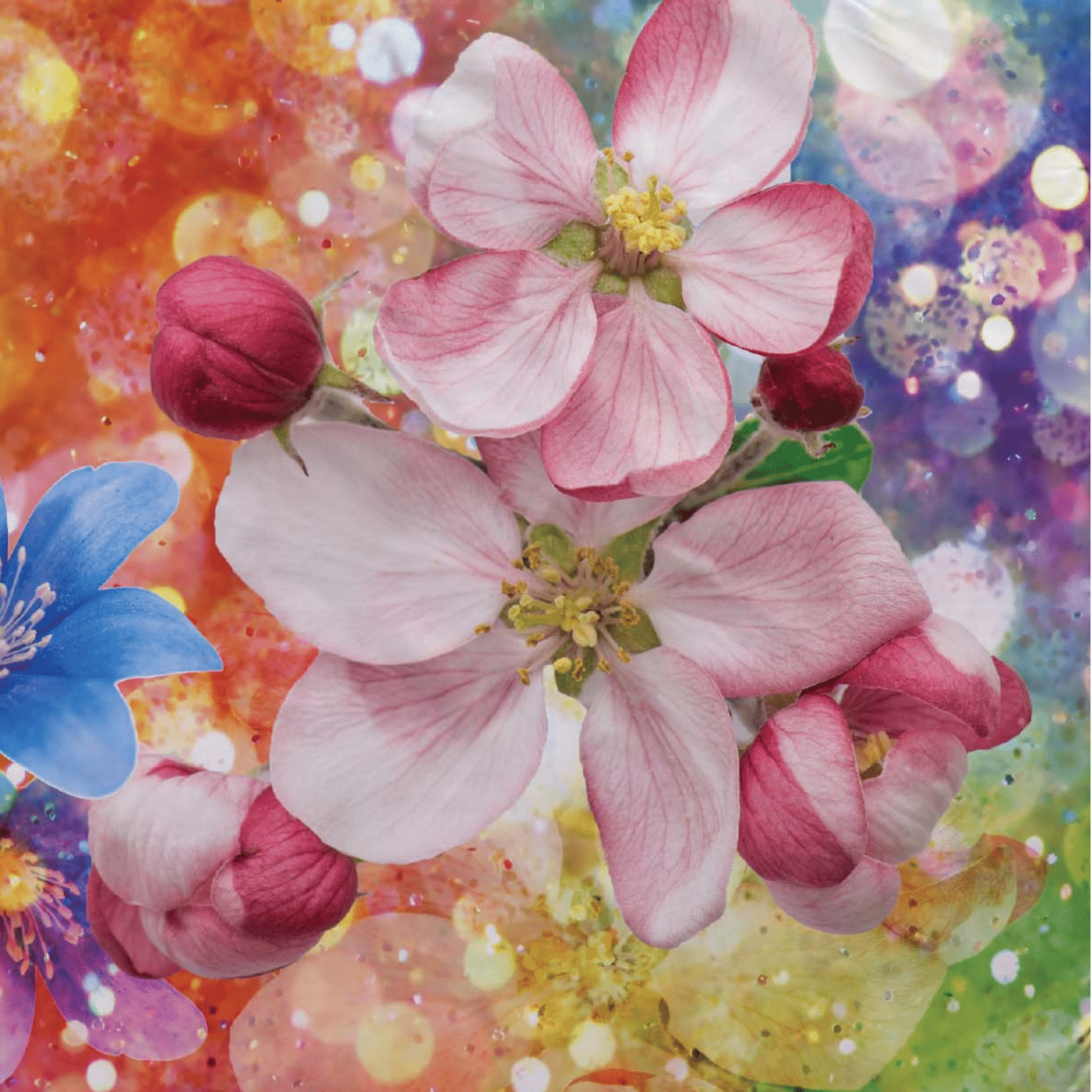 completo-lenzuola-rainbow-alta-definizione-100-cotone-dettaglio