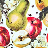 mele-e-pere-tovaglia-antimacchia-idrorepellente-multicolore-cucina-frutta-giallo-rosso-verde-autunnale-dettaglio